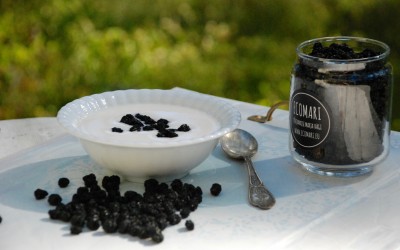 Uus mari ECOMARIL! Hinnatud ka maailma kõige tervislikumaks marjaks